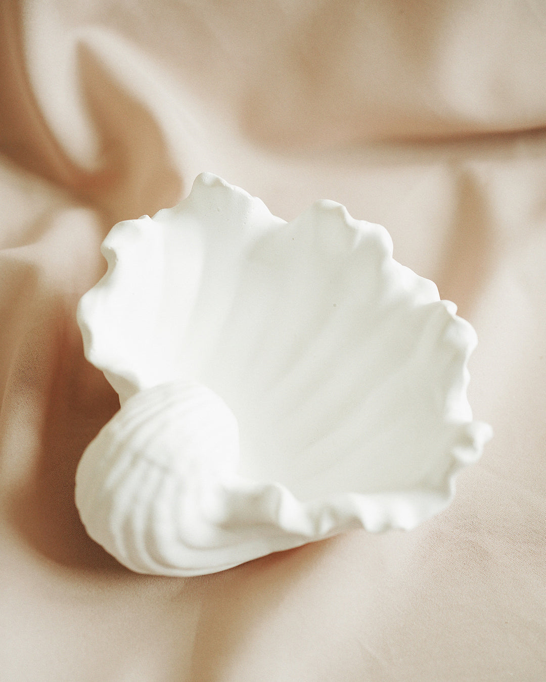 Sea Shell Concrete Tray | Olive & Iris