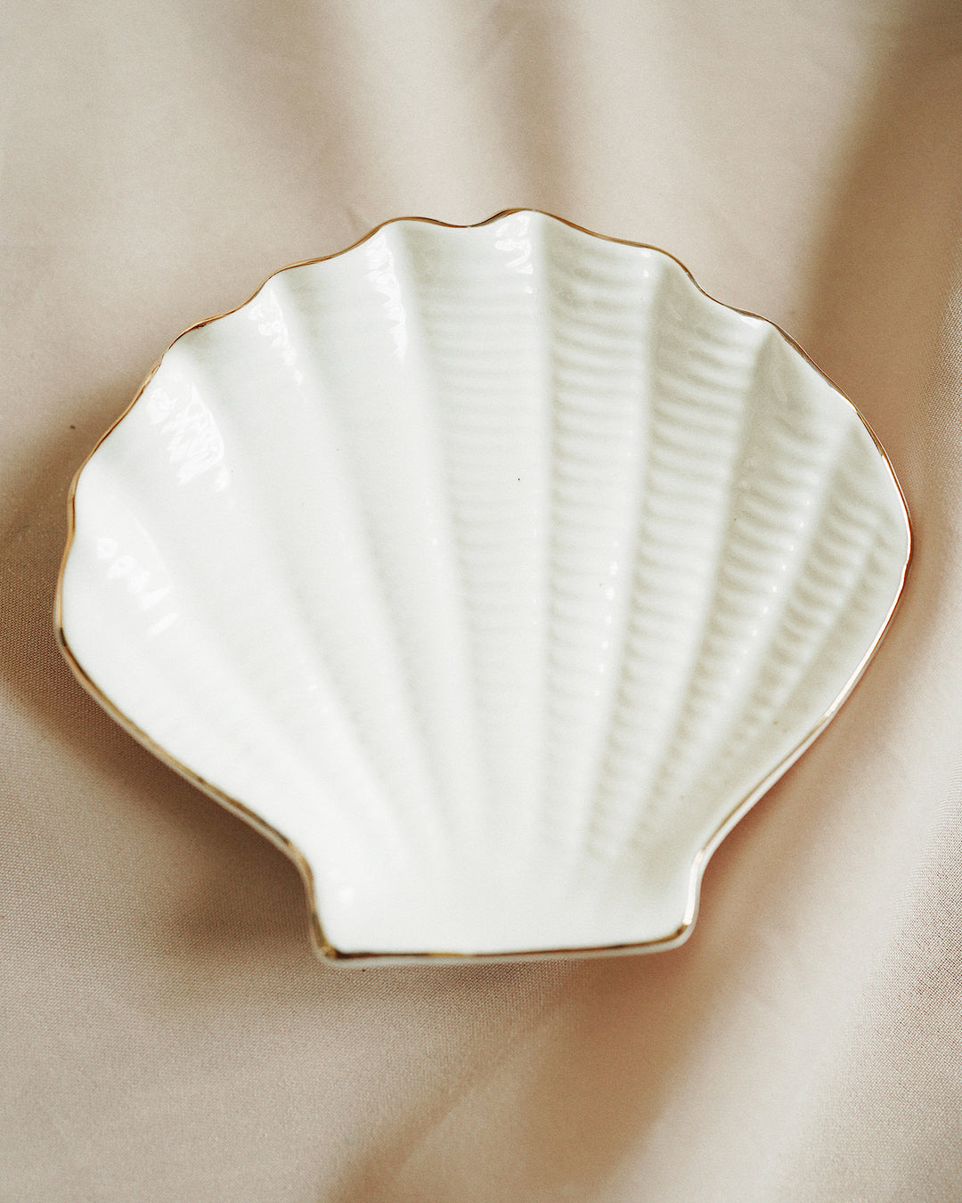 Sea Shell Small Ceramic Plate Olive & Iris