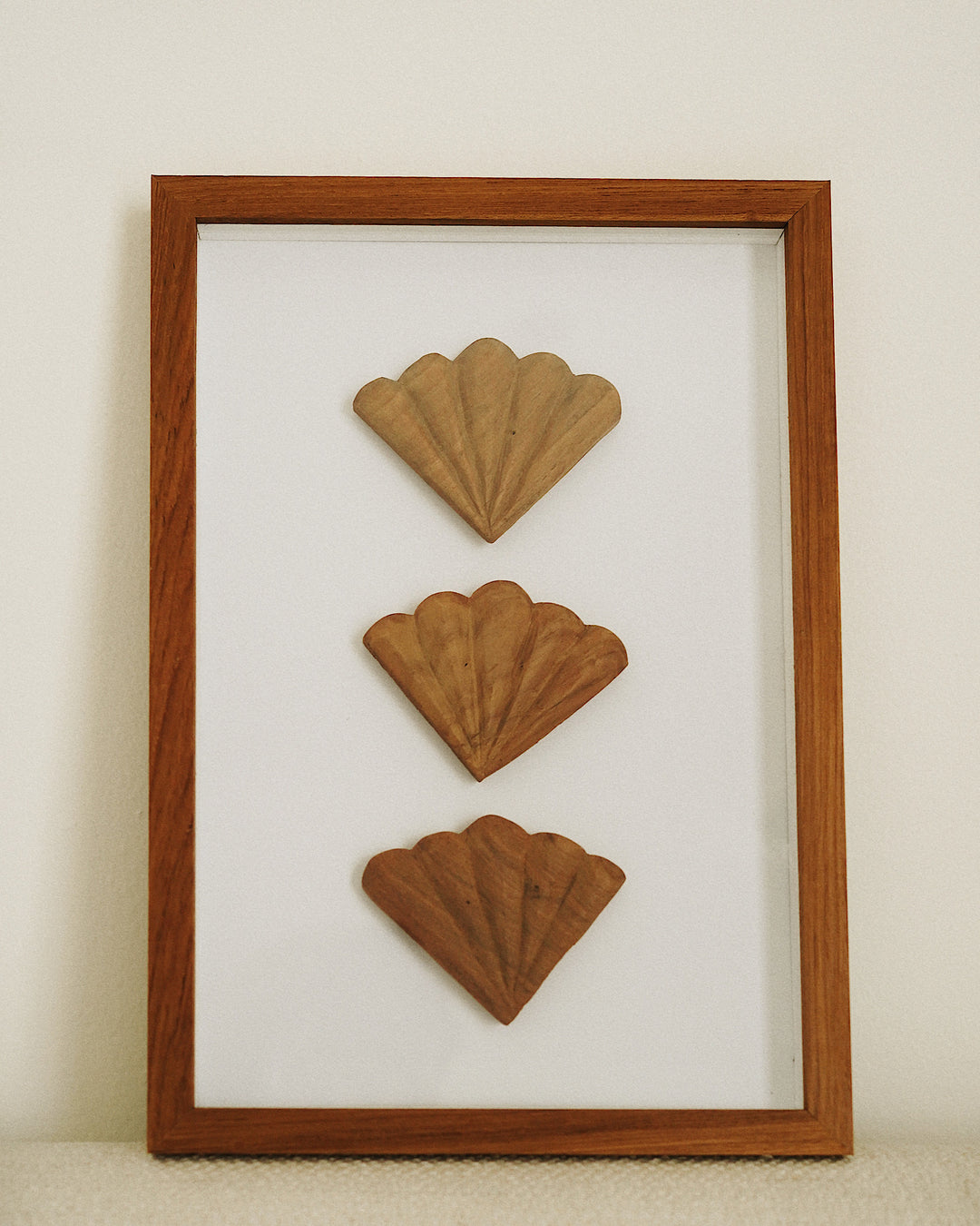 Sea Shell Wooden Wall Art - Framed