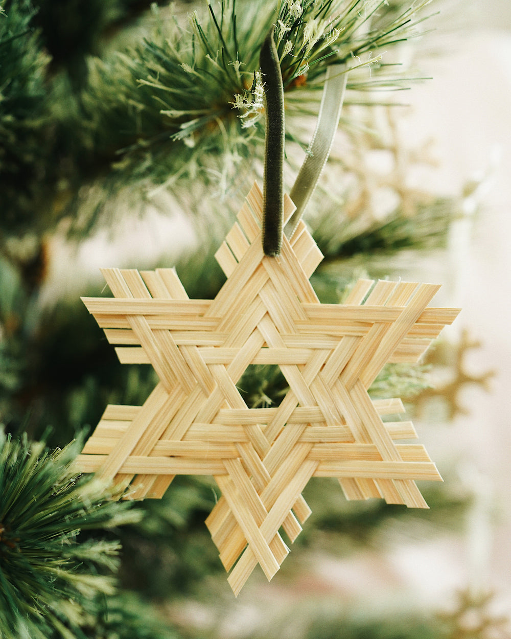 Star Bamboo Christmas Ornament | Olive & Iris